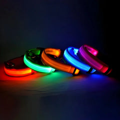 LED Dog Collar – Luminous Nylon Night Safety Collar for Pets