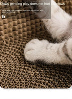 Oval Cat Scratching Board with Catnip - Corrugated Cardboard Scratcher & Bed