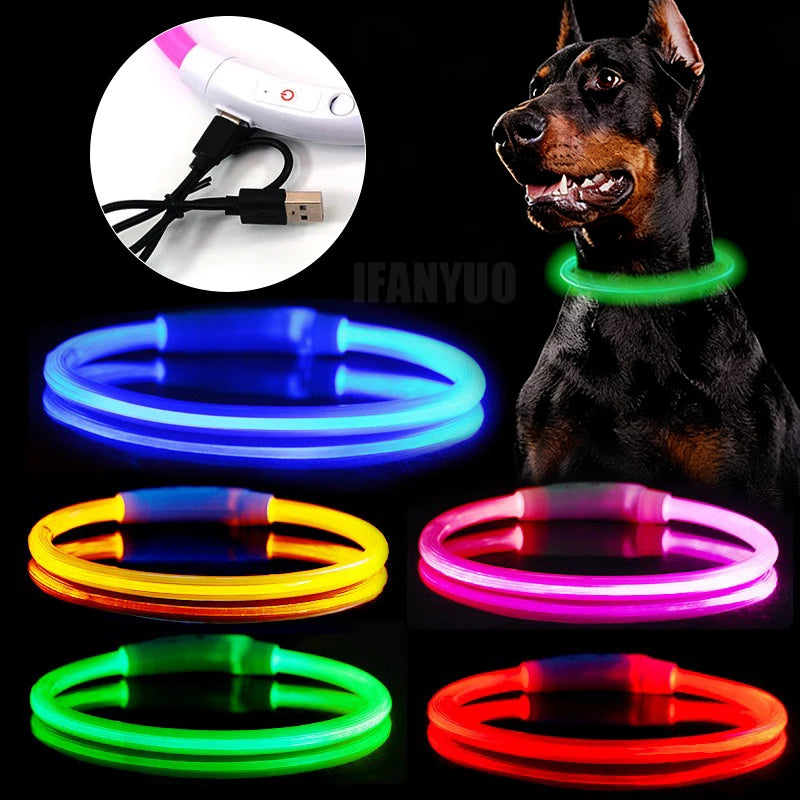 USB Rechargeable LED Dog Collar - 3 Mode Glow Collar for Night Safety