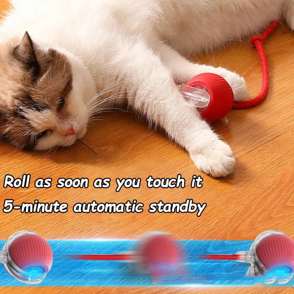 Automatic Cat Ball Toy – Smart Rolling Ball with Faux Tail