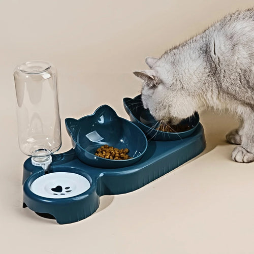 3-in-1 Pet Bowl Set – Tilted Cat & Dog Food Bowl with Water Feeder