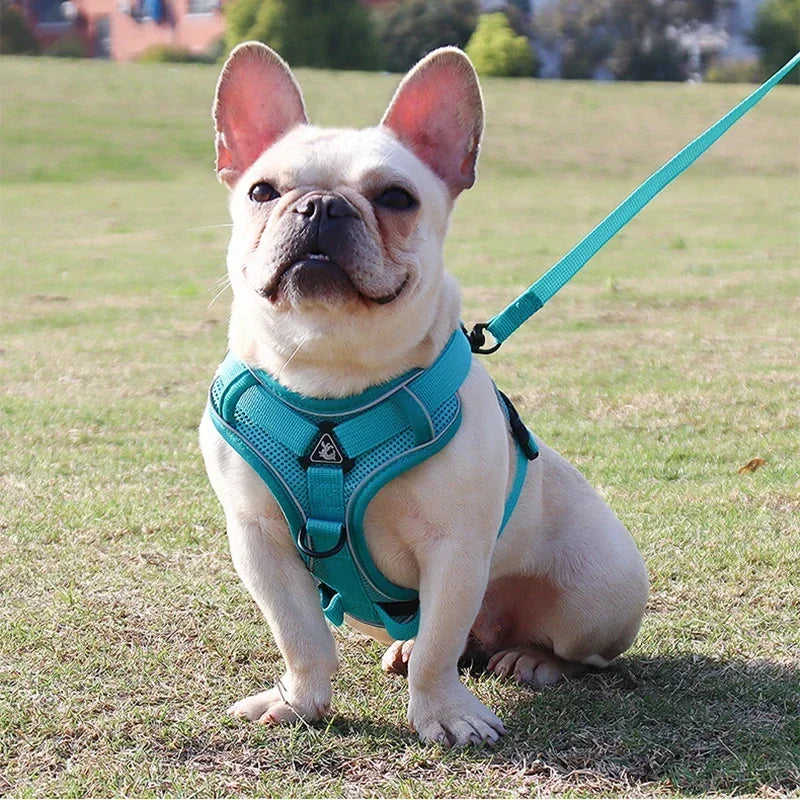 No-Pull Dog & Cat Harness Set – Adjustable Reflective Vest with Leash