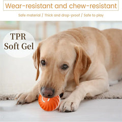 Smart Electronic Dog & Cat Toy Ball – USB Rechargeable Interactive Toy