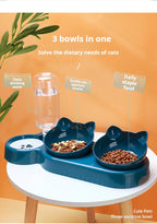 3-in-1 Pet Bowl Set – Tilted Cat & Dog Food Bowl with Water Feeder