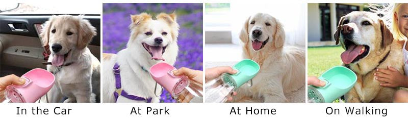Portable Dog Water Bottle – Outdoor Leakproof Pet Drinking Bowl