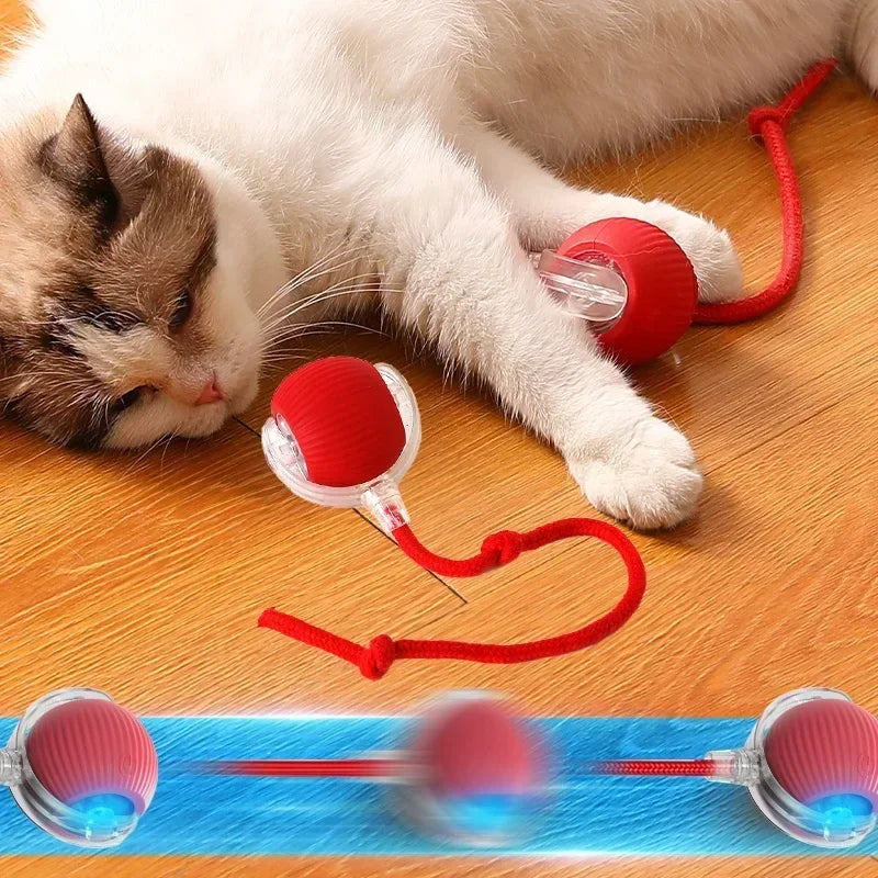 Smart Interactive Cat Ball - Automatic Rolling with Tail & Obstacle Avoidance