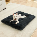 Soft Plush Dog & Cat Bed – Cozy Pet Cushion & Sleeping Sofa