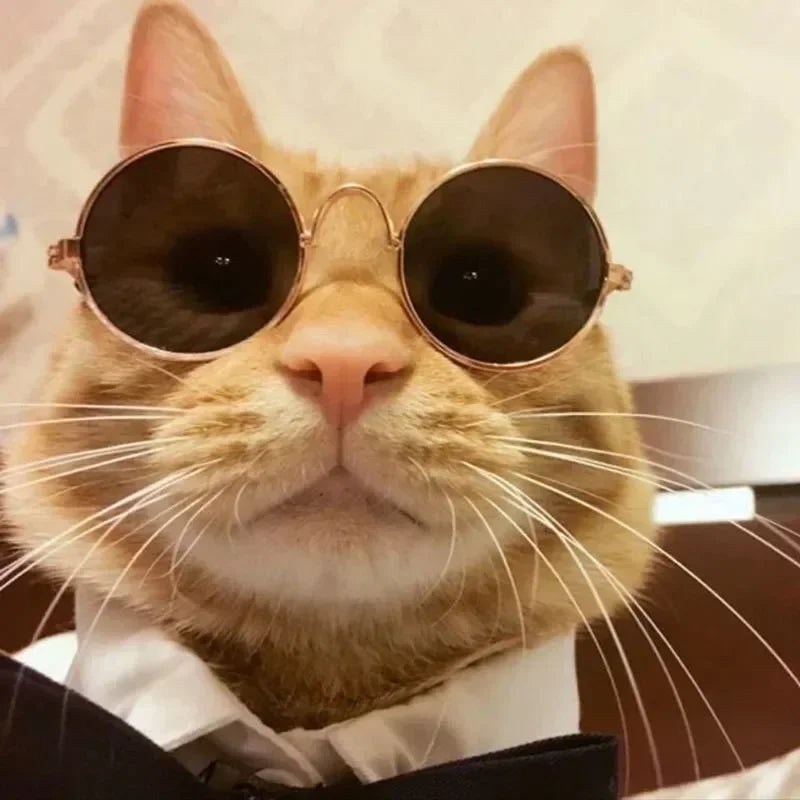 Cute Pet Sunglasses – UV Protection Glasses for Cats & Small Dogs