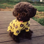 Cute Pet Sunglasses – UV Protection Glasses for Cats & Small Dogs