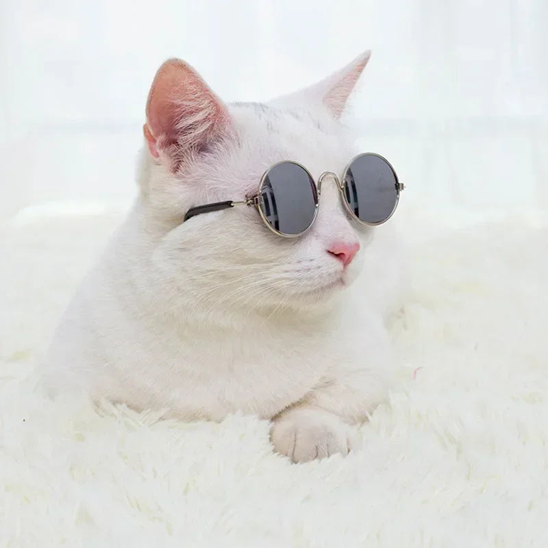 Cute Pet Sunglasses – UV Protection Glasses for Cats & Small Dogs