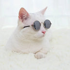 Cute Pet Sunglasses – UV Protection Glasses for Cats & Small Dogs