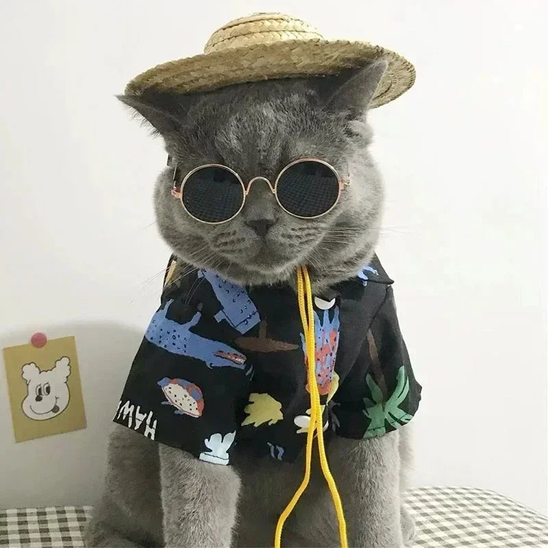 Cute Pet Sunglasses – UV Protection Glasses for Cats & Small Dogs