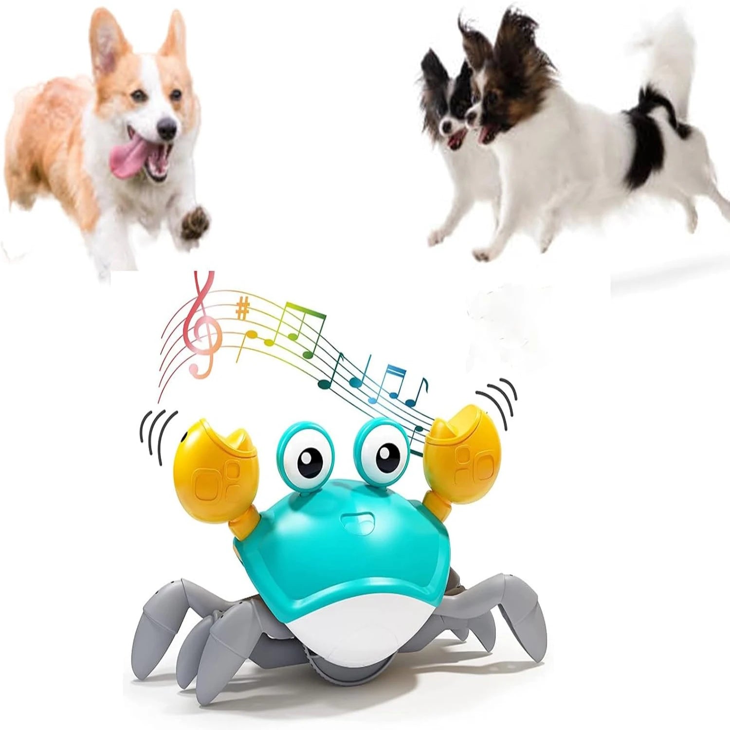 Interactive Dancing Crab Pet Toy – Musical Fun for Dogs & Cats