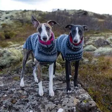 Fleece Dog Turtleneck Vest - Bohemian Style for Greyhounds & Thin-Coated Breeds