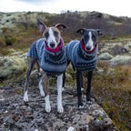 Fleece Dog Turtleneck Vest - Bohemian Style for Greyhounds & Thin-Coated Breeds