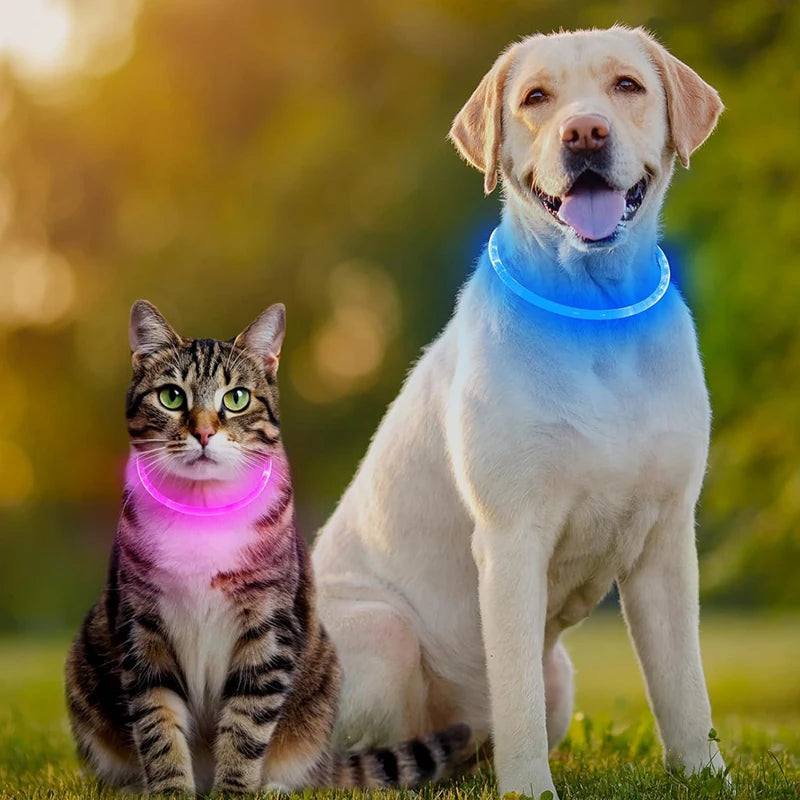 USB Rechargeable LED Dog Collar - 3 Mode Glow Collar for Night Safety