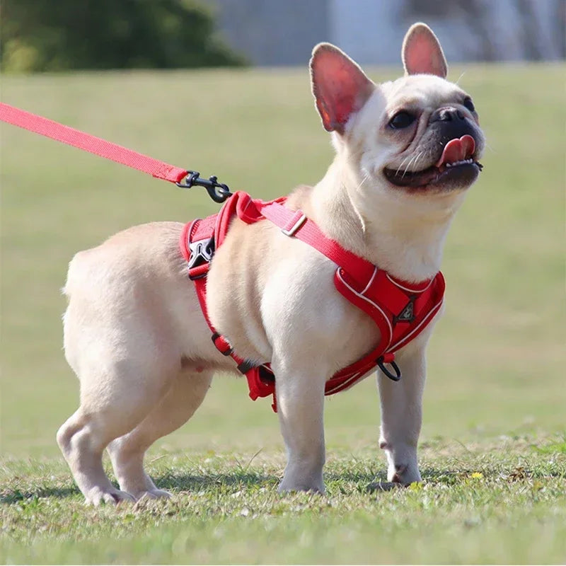 No-Pull Dog & Cat Harness Set – Adjustable Reflective Vest with Leash