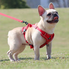 No-Pull Dog & Cat Harness Set – Adjustable Reflective Vest with Leash