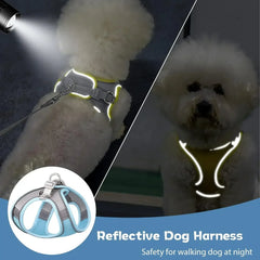 Adjustable Dog & Cat Harness Set – Small Dog Walking Vest with Leash