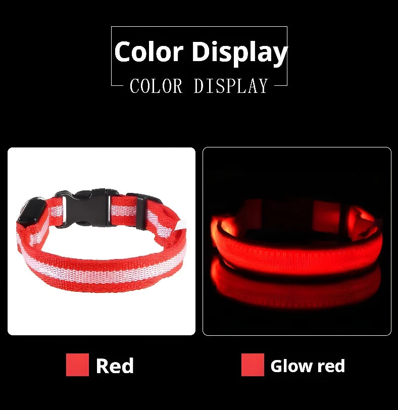 LED Dog Collar – Luminous Nylon Night Safety Collar for Pets