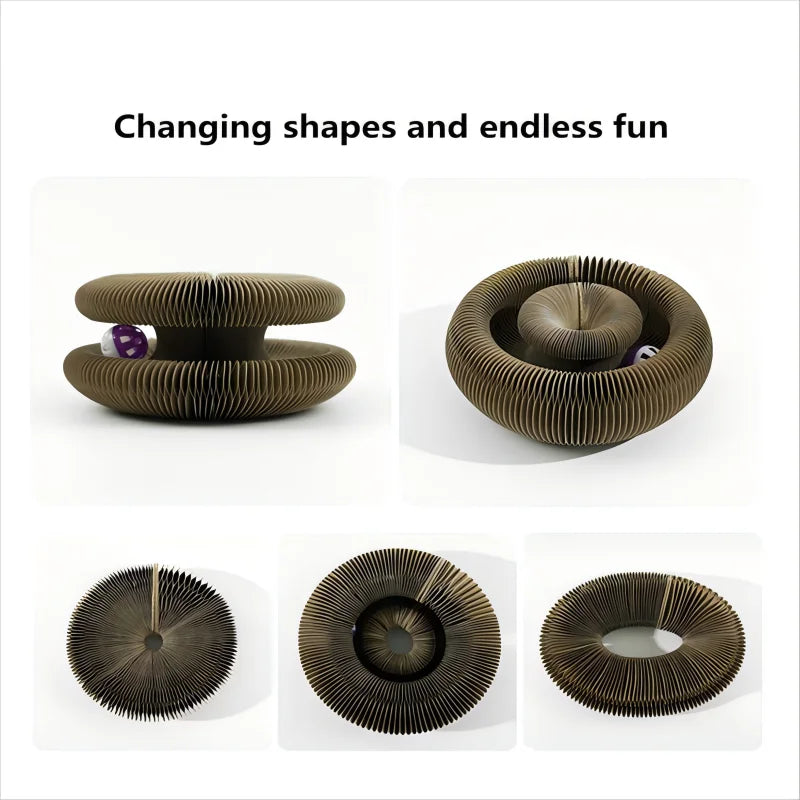 Foldable Cat Scratcher Bed - Curved Cardboard Scratcher & Lounge