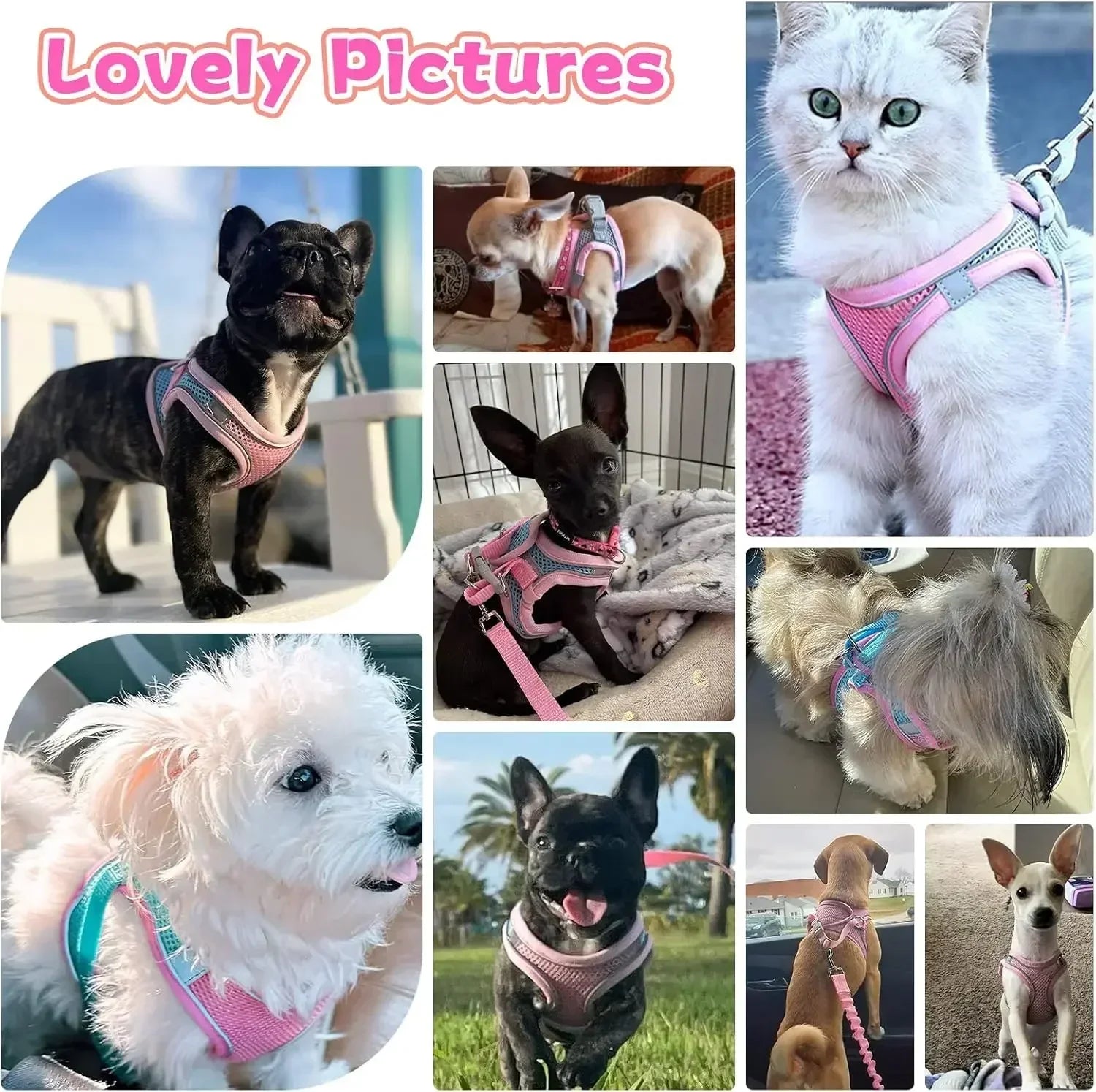Adjustable Dog & Cat Harness Set – Small Dog Walking Vest with Leash