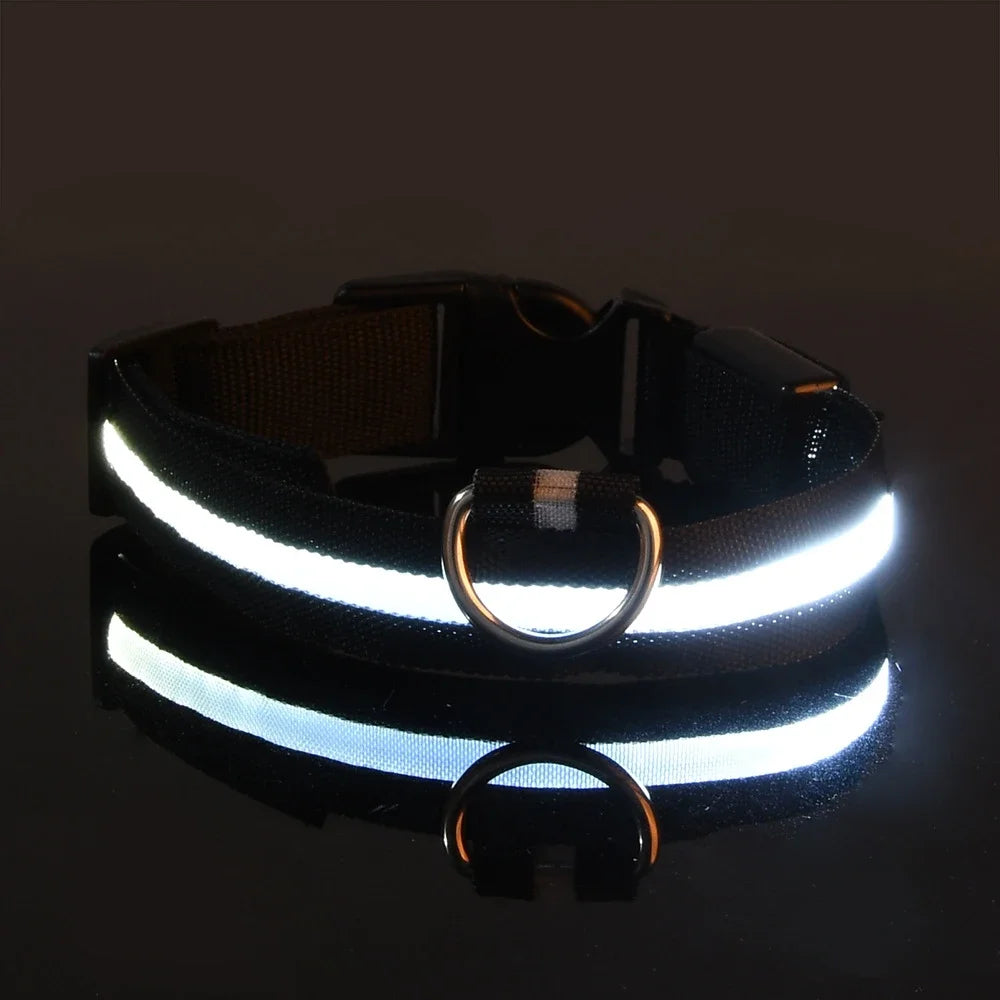 LED Dog Collar – Luminous Nylon Night Safety Collar for Pets