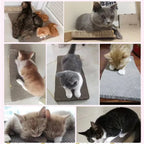 Corrugated Cat Scratching Board with Catnip - Multi-Functional Claw Grinding Plate