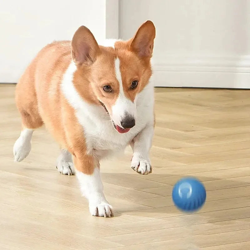 Smart Electronic Dog & Cat Toy Ball – USB Rechargeable Interactive Toy