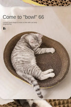 Oval Cat Scratching Board with Catnip - Corrugated Cardboard Scratcher & Bed