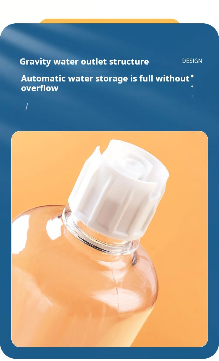 3-in-1 Pet Bowl Set – Tilted Cat & Dog Food Bowl with Water Feeder