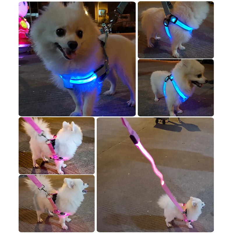 LED Glow Dog Harness - Reflective No-Pull Harness with 3 Light Modes