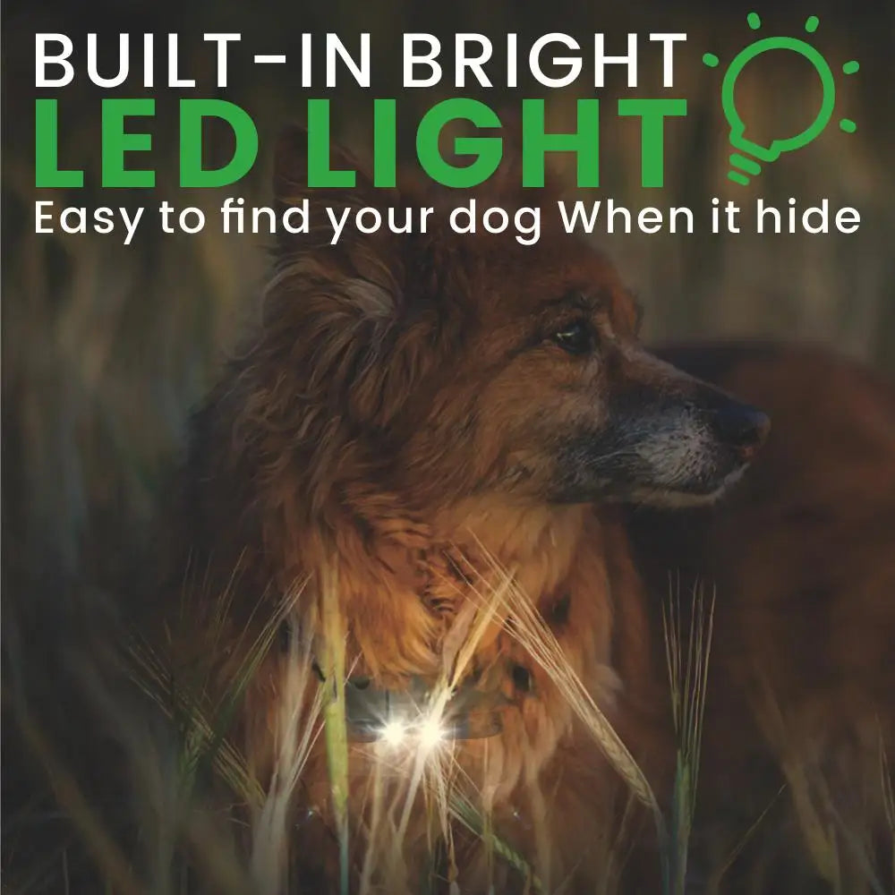 Waterproof Dog Training Collar - 800M Remote with 99 Vibration/Shock Levels