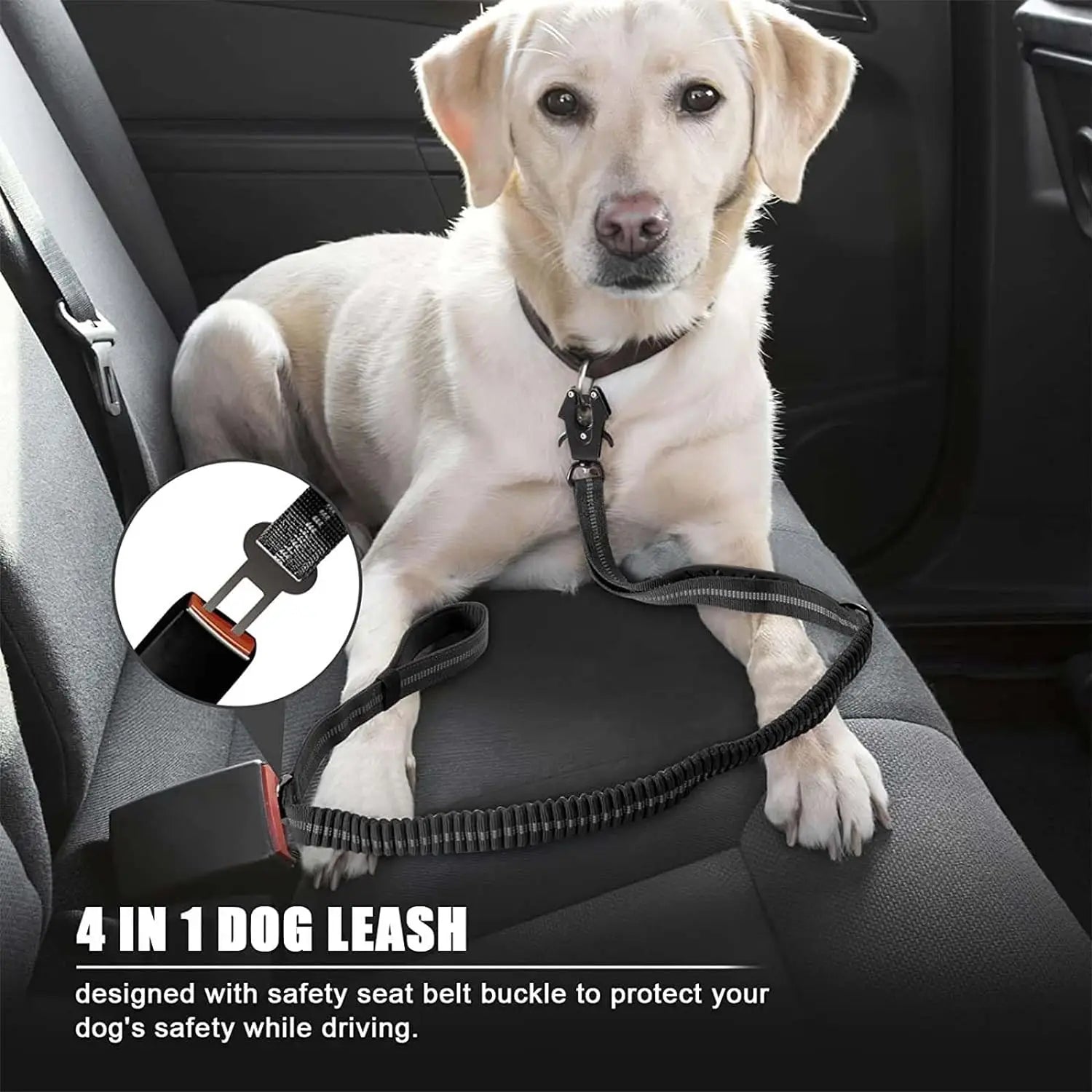Reflective Bungee Dog Leash – Heavy-Duty No-Pull Leash with Seatbelt