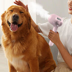 Electric Steamer Brush - 3-in-1 Dog Grooming with Hydration Spray