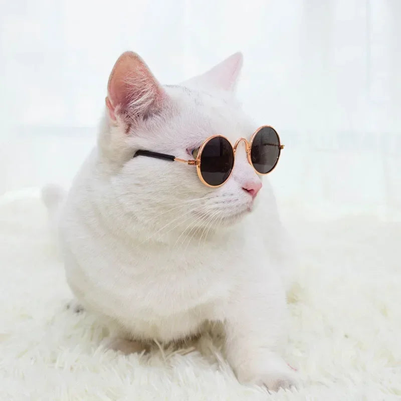 Cute Pet Sunglasses – UV Protection Glasses for Cats & Small Dogs