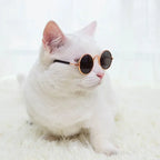 Cute Pet Sunglasses – UV Protection Glasses for Cats & Small Dogs