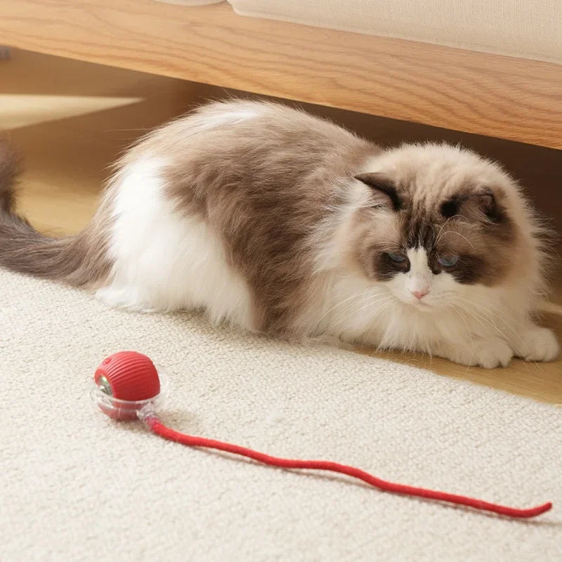 Smart Interactive Cat Ball - Automatic Rolling with Tail & Obstacle Avoidance