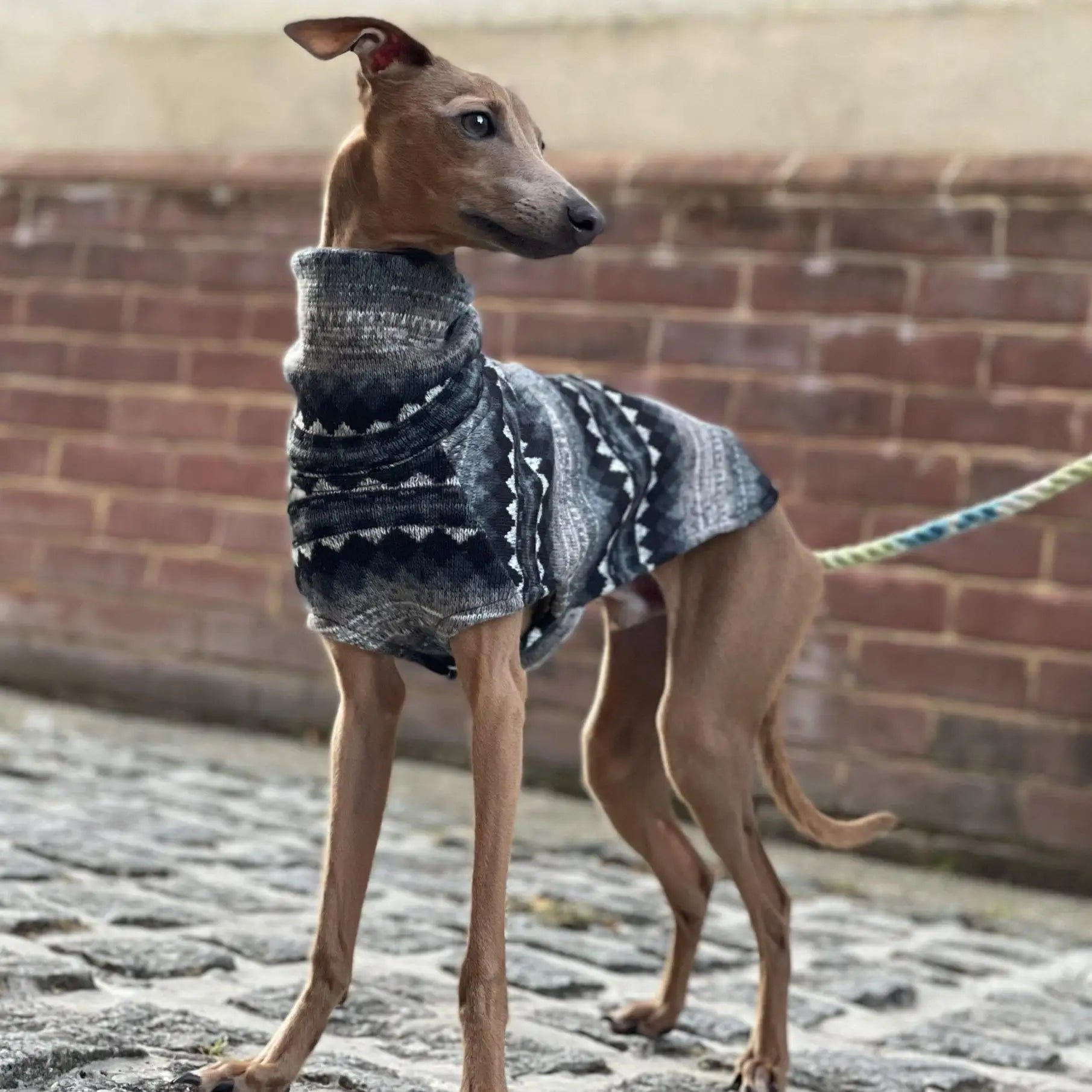 Fleece Dog Turtleneck Vest - Bohemian Style for Greyhounds & Thin-Coated Breeds
