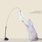 Interactive Cat Feather Toy - Suction Cup Mounted with Replaceable Feathers
