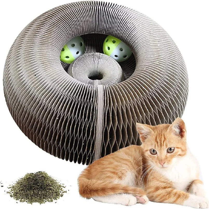 Foldable Cat Scratcher Bed - Curved Cardboard Scratcher & Lounge