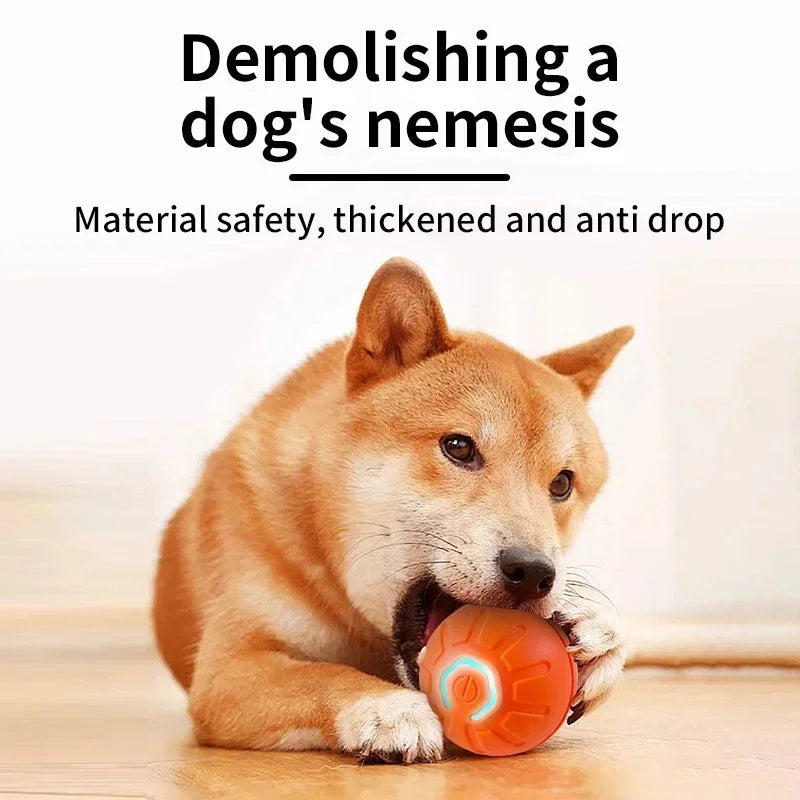 Smart Electronic Dog & Cat Toy Ball – USB Rechargeable Interactive Toy