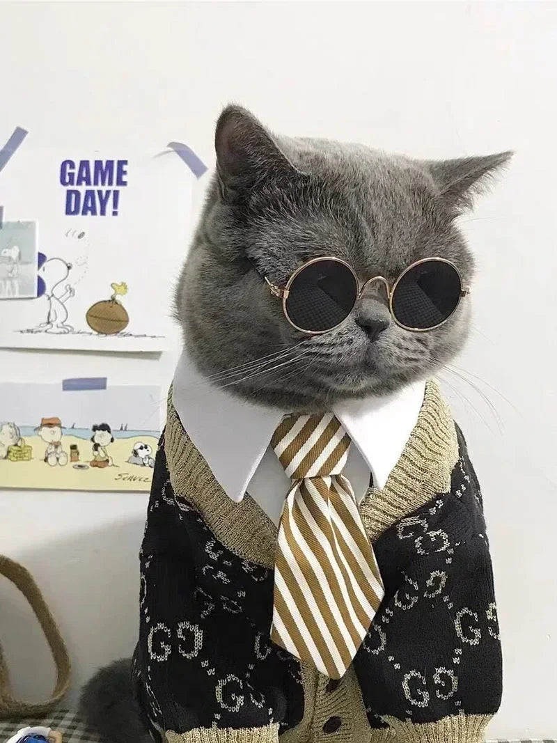 Cute Pet Sunglasses – UV Protection Glasses for Cats & Small Dogs