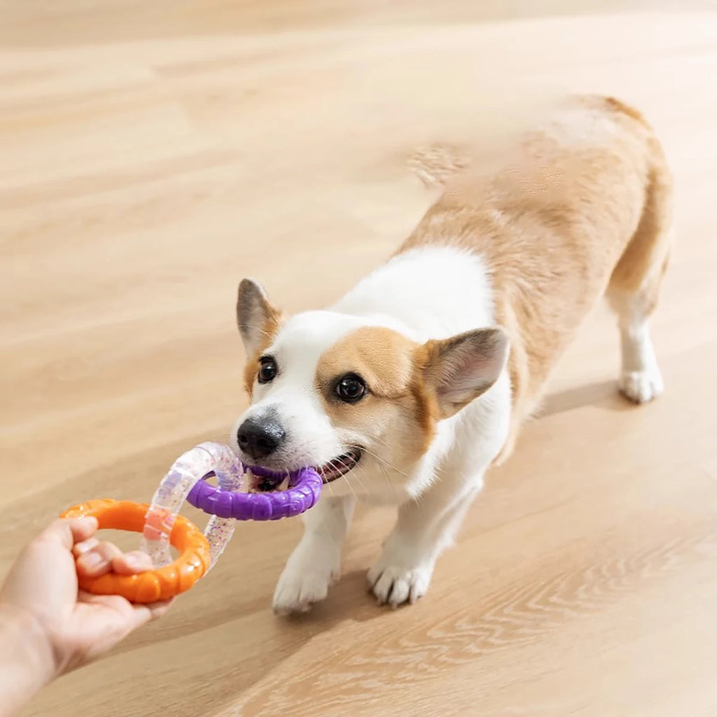 TPR Dog Chew Toy - 3-Ring Tug Toy for Teeth Cleaning & Interactive Play