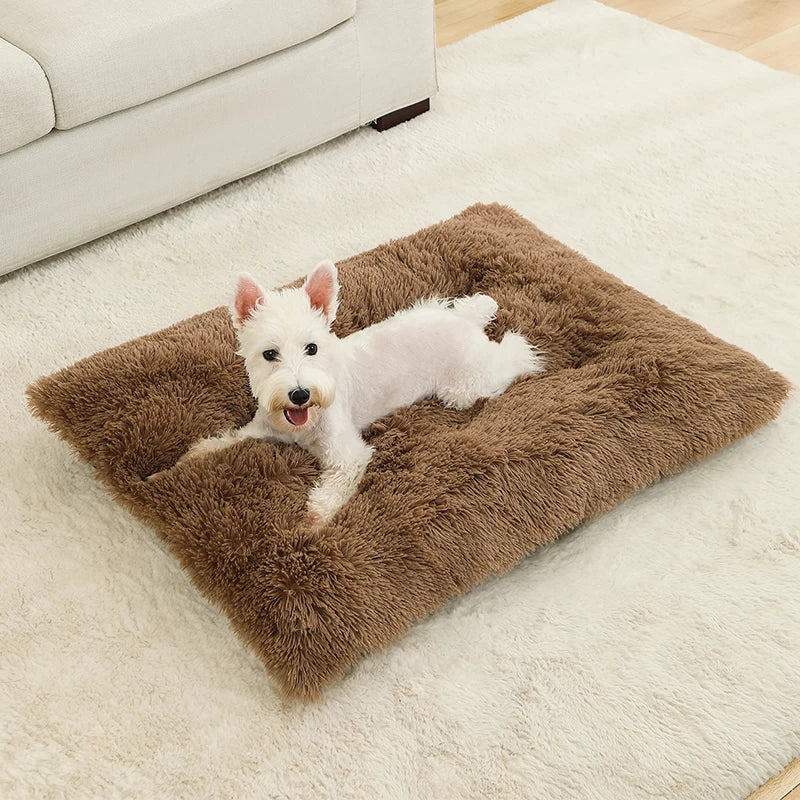 Soft Plush Dog & Cat Bed – Cozy Pet Cushion & Sleeping Sofa