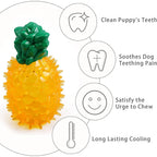 Freezable Cooling Chew Toy - Summer Fruit Design for Dogs & Cats