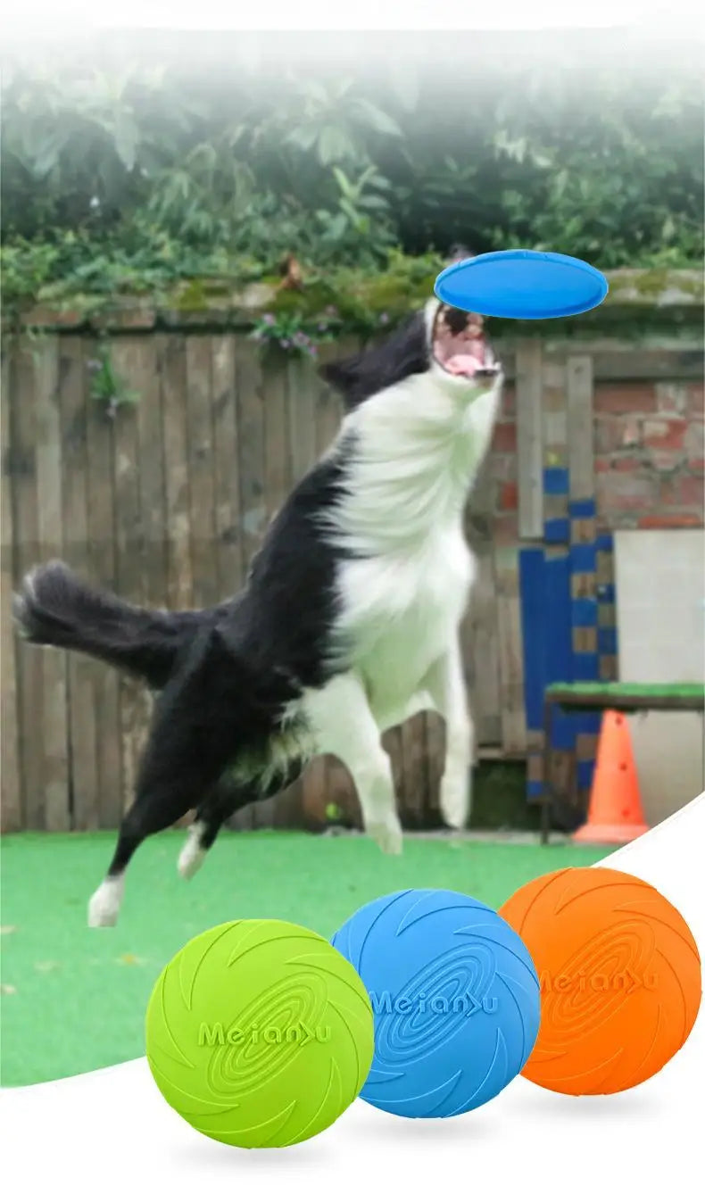 Bite-Resistant Dog Flying Disc – Outdoor Interactive Training Toy