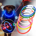 USB Rechargeable LED Dog Collar - 3 Mode Glow Collar for Night Safety