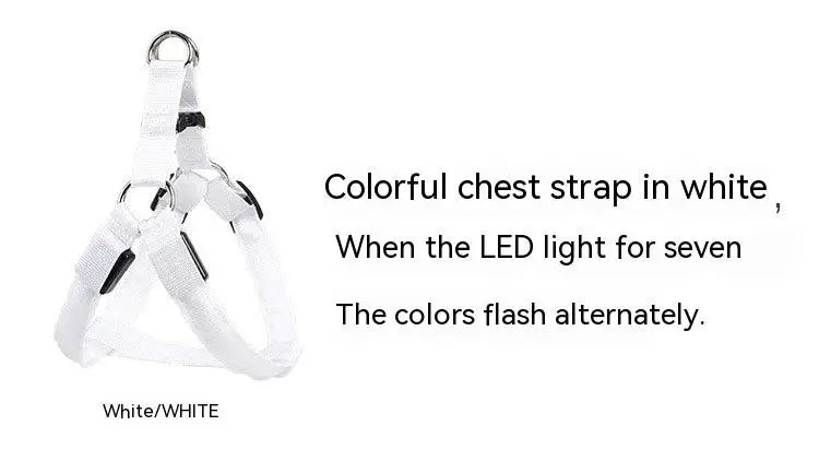 LED Glow Dog Harness - Reflective No-Pull Harness with 3 Light Modes