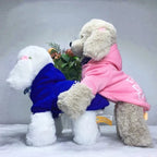 Hooded Pet Jacket - Dog Face Wind Coat Hoodie for Small to Large Dogs